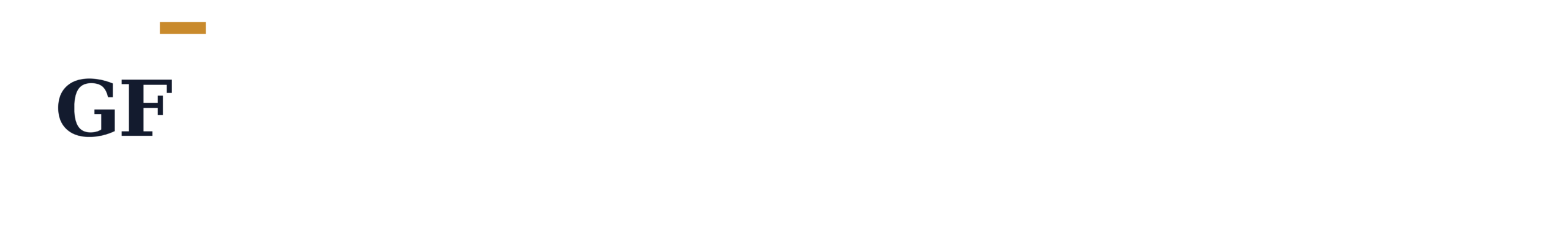 Get Fractional IT